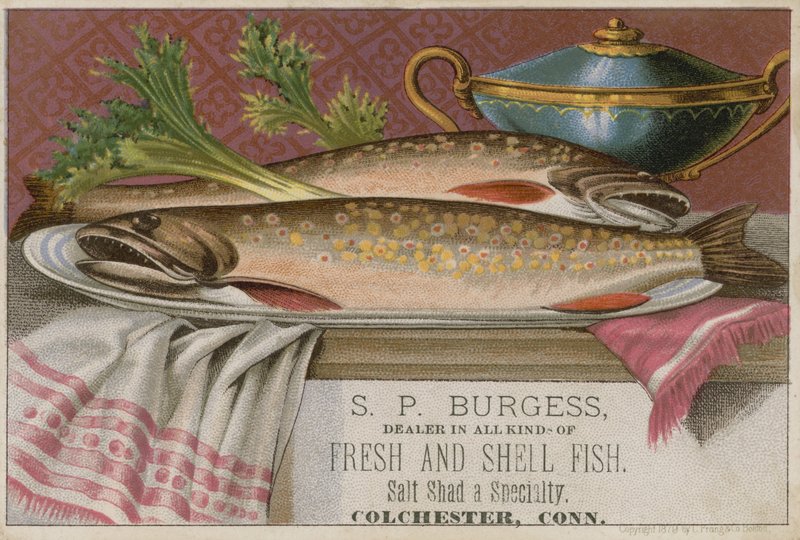 S P Burgess, kauppakortti tekijältä American School