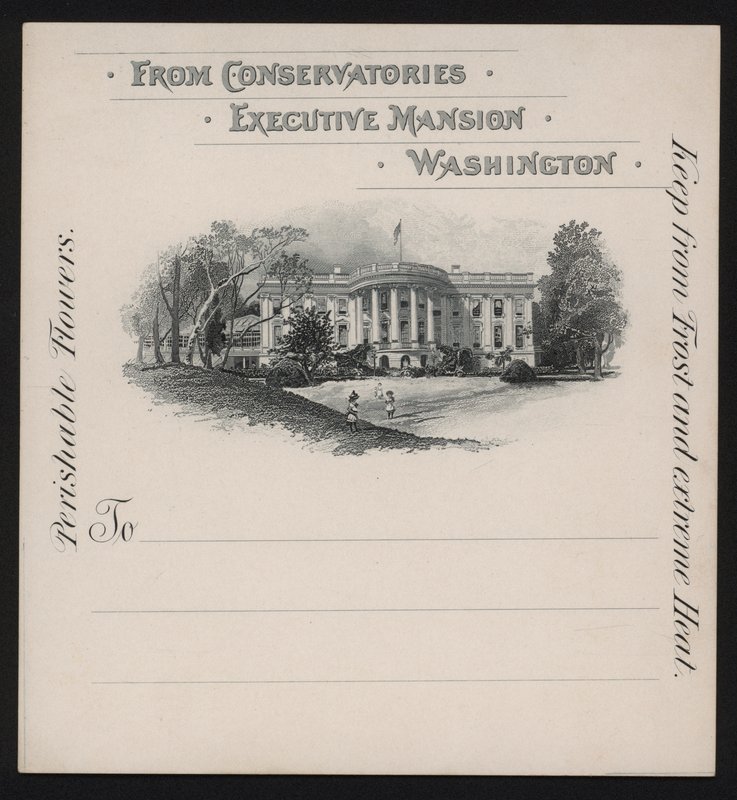 La Casa Blanca, Washington DC, EUA (lito)finlandès tekijältä American School