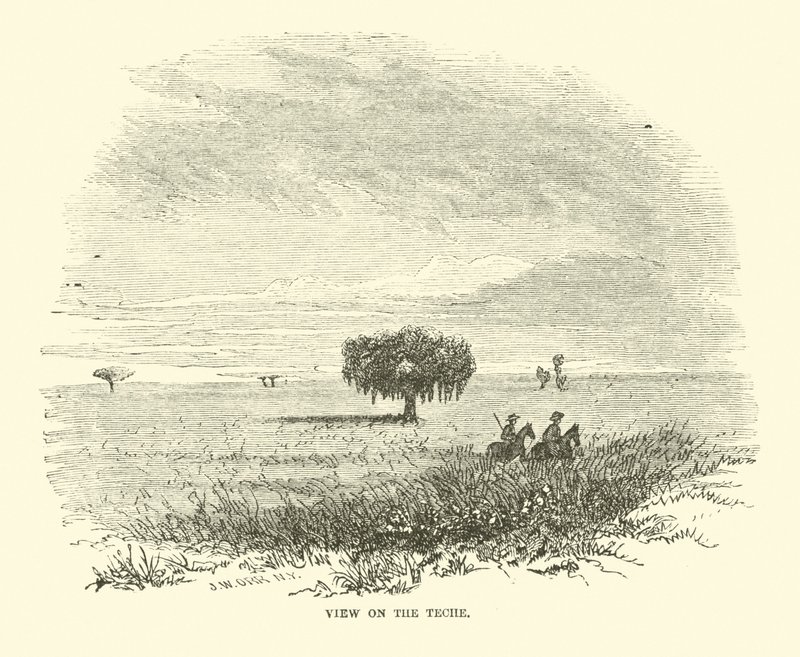 View on the Teche, huhtikuu 1863 tekijältä American School