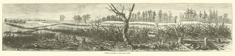 Kuudennen joukkojen vangitsemat teokset huhtikuussa 1865 tekijältä American School