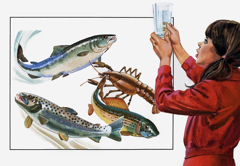 Nyt se on vesi, joka tarvitsee pesua! tekijältä Andrew Howat