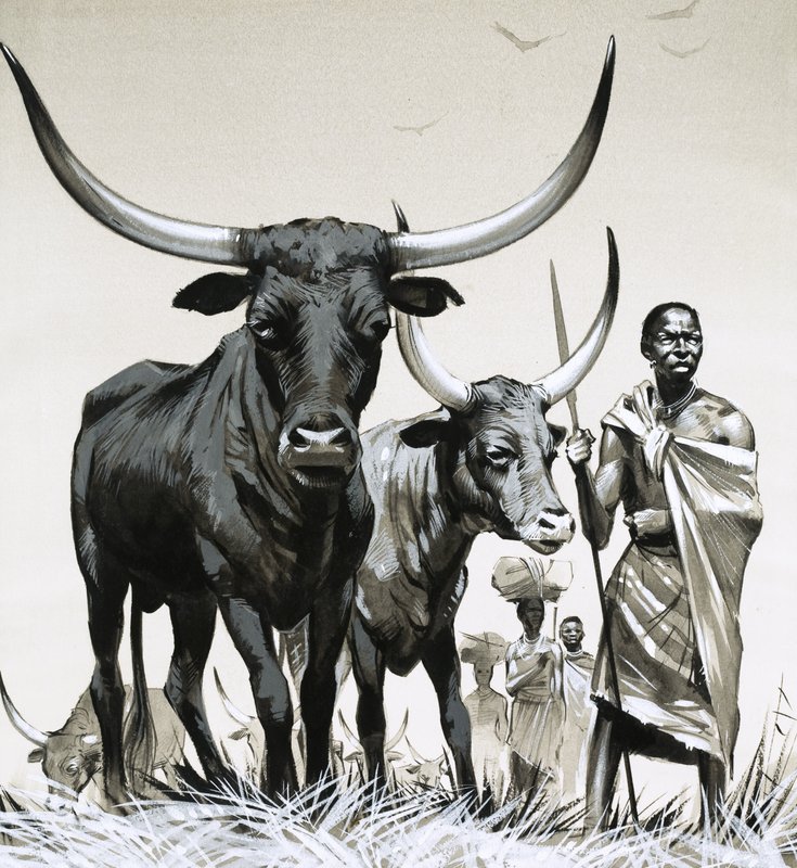 Ankole-karja tekijältä Angus McBride