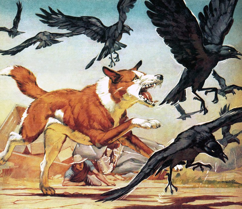 Bimbo of the Outback tekijältä Angus McBride