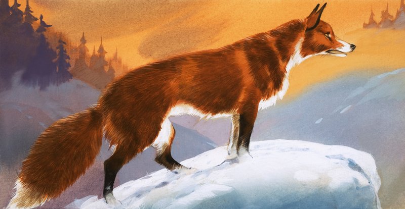 Kettu lumessa tekijältä Angus McBride