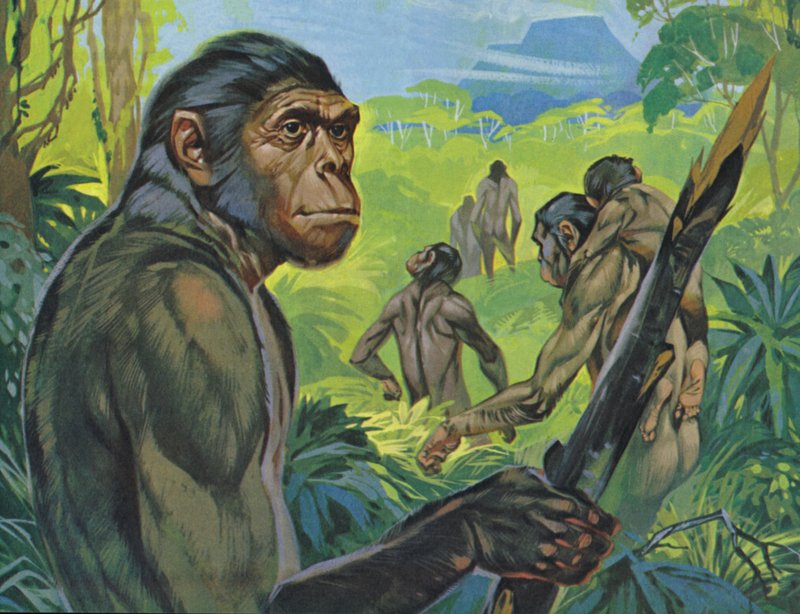 Pithecanthropus (värilitro) tekijältä Angus McBride