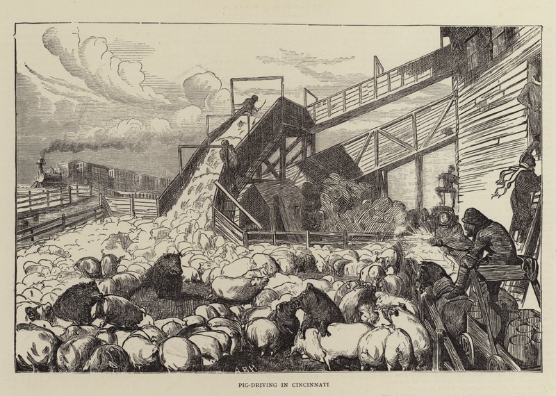 Sikojen ajo Cincinnatissa tekijältä Arthur Boyd Houghton