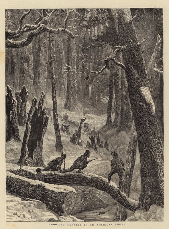 Kalkkunoiden ampuminen amerikkalaisessa metsässä tekijältä Arthur Boyd Houghton