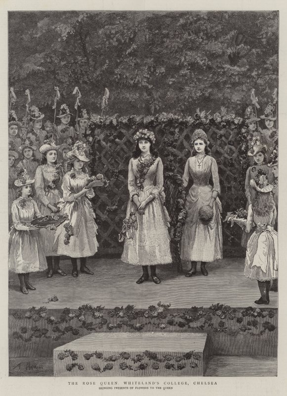 Rose Queen Whiteland