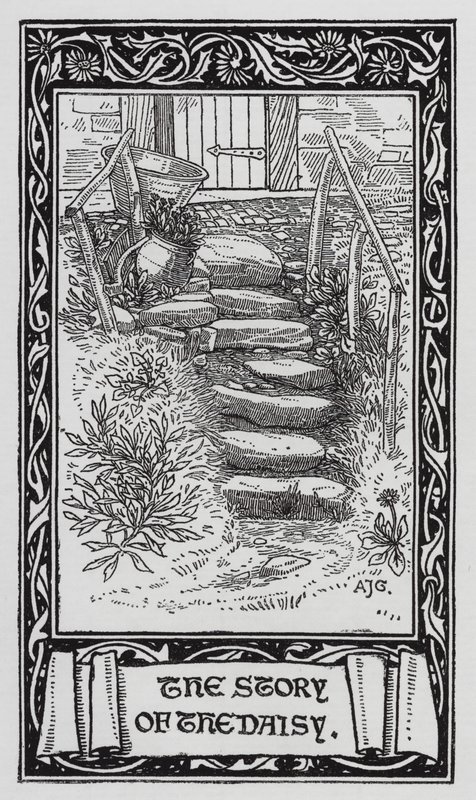 Hans Christian Andersen: The Daisy (litho) tekijältä Arthur Joseph Gaskin
