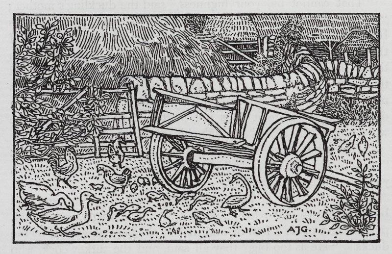 Hans Christian Andersen: Ruma ankanpoikanen (litho) tekijältä Arthur Joseph Gaskin