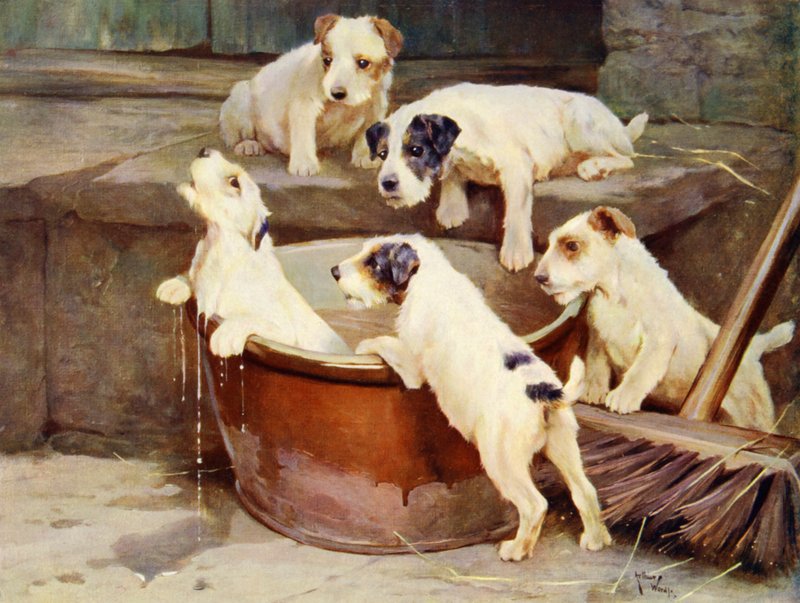 The Order of the Bath - pentujen pesu tekijältä Arthur Twidle
