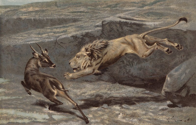 Yöllinen hyökkäys (chromolitho) tekijältä Arthur Wardle