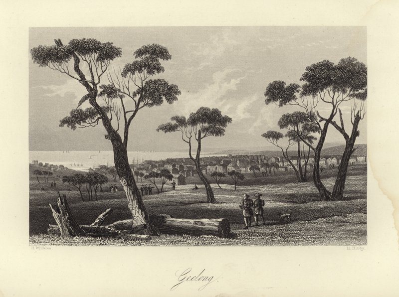 Geelong tekijältä Australian School