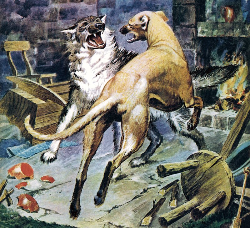 Rohkea Galert tekijältä Barrie Linklater