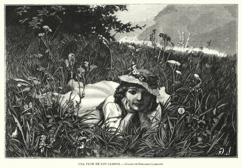 Kentän kukka (litho) tekijältä Benjamin  Constant