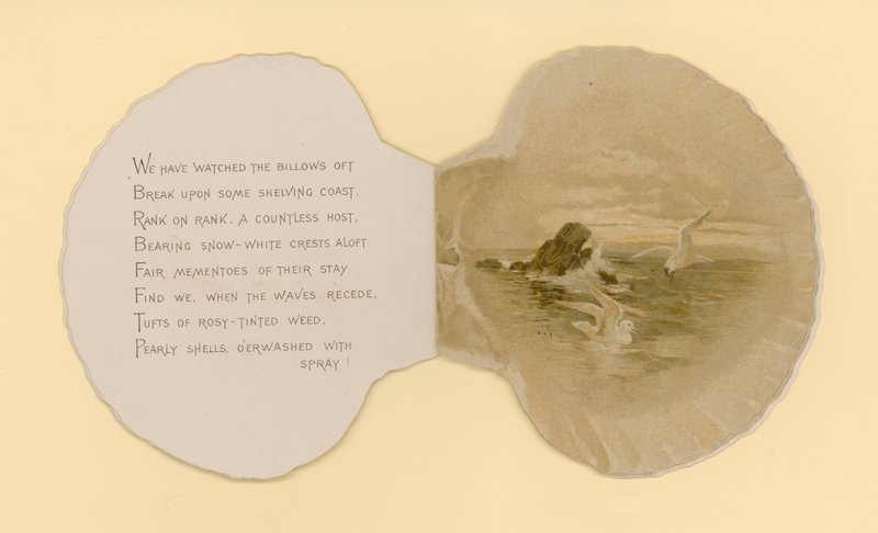 Kuvitus kirjaseen nimeltä Sea Shells (väri litho) tekijältä Benjamin D. Sigmund