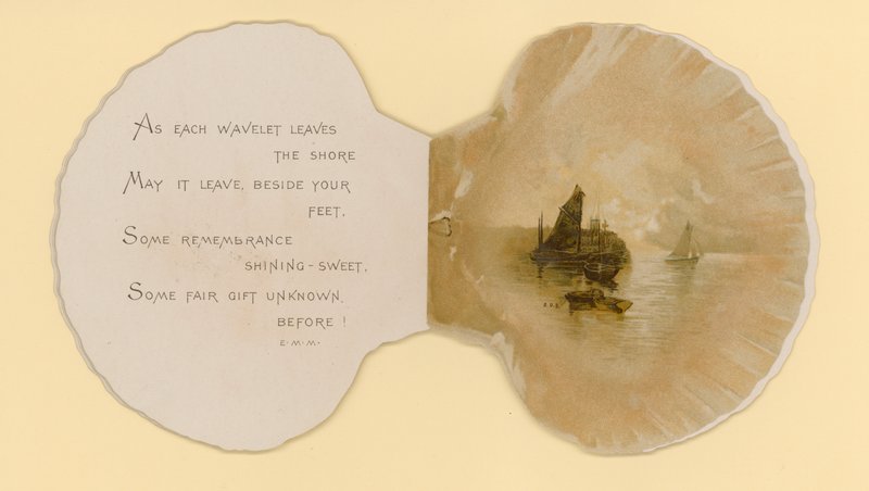 Kuvitus kirjaseen nimeltä Sea Shells (väri litho) tekijältä Benjamin D. Sigmund
