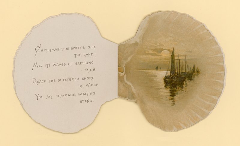 Kuvitus kirjaseen nimeltä Sea Shells (väri litho) tekijältä Benjamin D. Sigmund