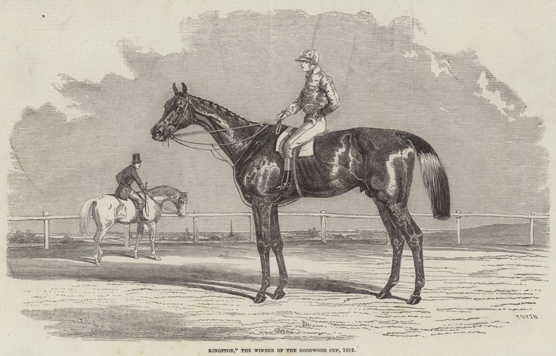 Kingston, Goodwood Cupin voittaja, 1852 tekijältä Benjamin Herring