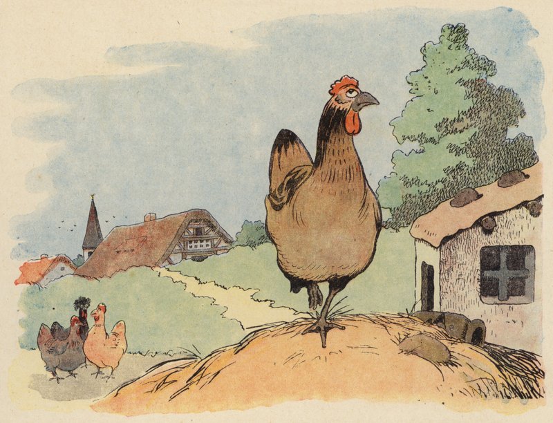 Kuvitus Chanteclerille, kirjoittanut Benjamin Rabier (väri litho) tekijältä Benjamin Rabier