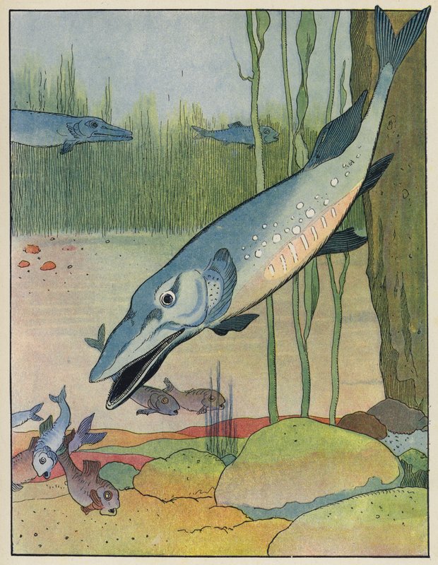 Kalastaa tekijältä Benjamin Rabier