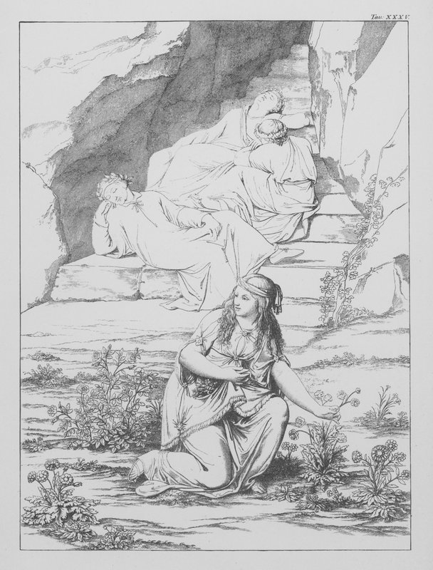 Danten jumalallinen komedia, Purgatorio (Kiirastuli), levy XXXV (litografia). tekijältä Bernhard Schuler