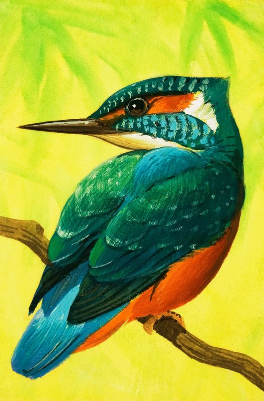 Kingfisher. tekijältä Bob Hersey