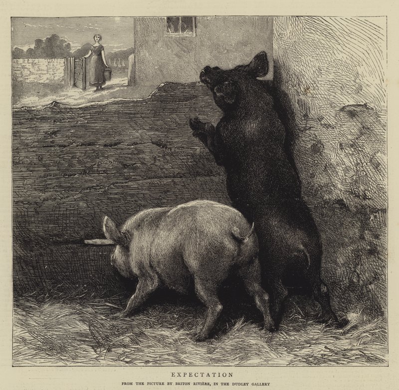Odotus tekijältä Briton Riviere