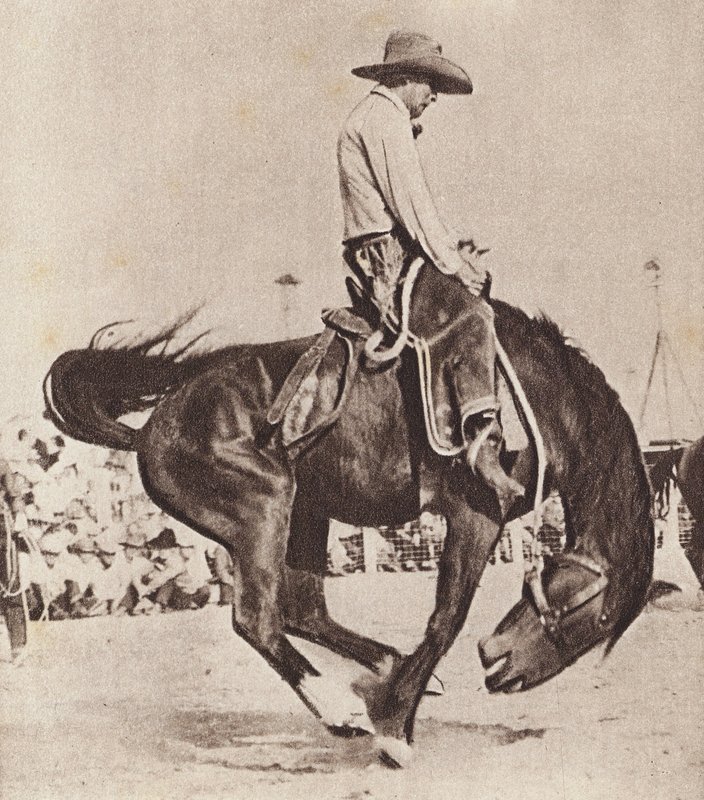 Cowboy ratsastaa ratsastamalla ratsuhevosella (s/w kuva) tekijältä Canadian Photographer