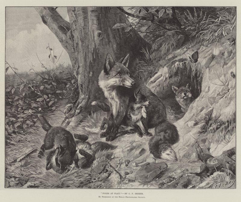Ketut Playssa tekijältä Carl Friedrich Deiker