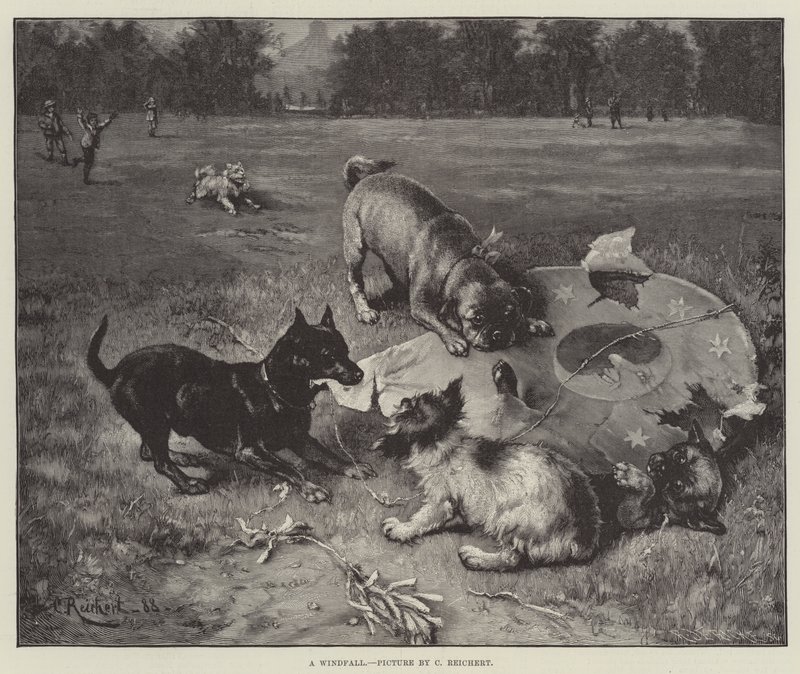 Windfall tekijältä Carl Reichert