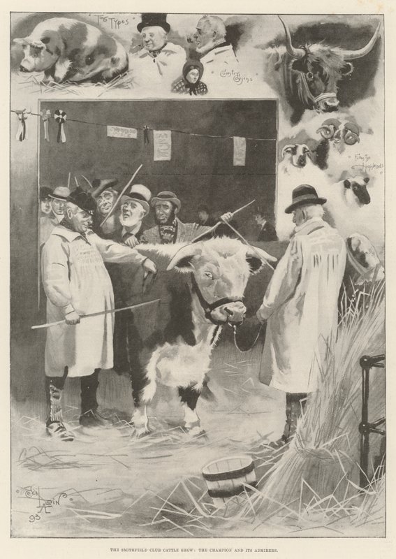 Smithfield Clubin karjanäyttely, mestari ja sen ihailijat tekijältä Cecil Charles Windsor Aldin