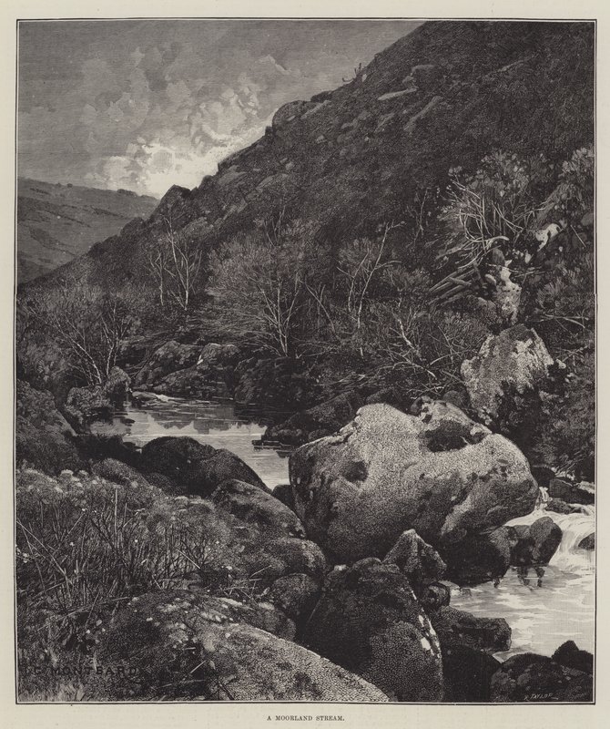 Moorland Stream tekijältä Charles Auguste Loye