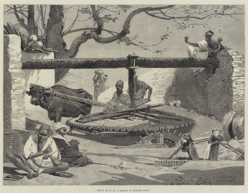 Egypti sellaisenaan, Sakieh Keski-Egyptissä tekijältä Charles Auguste Loye