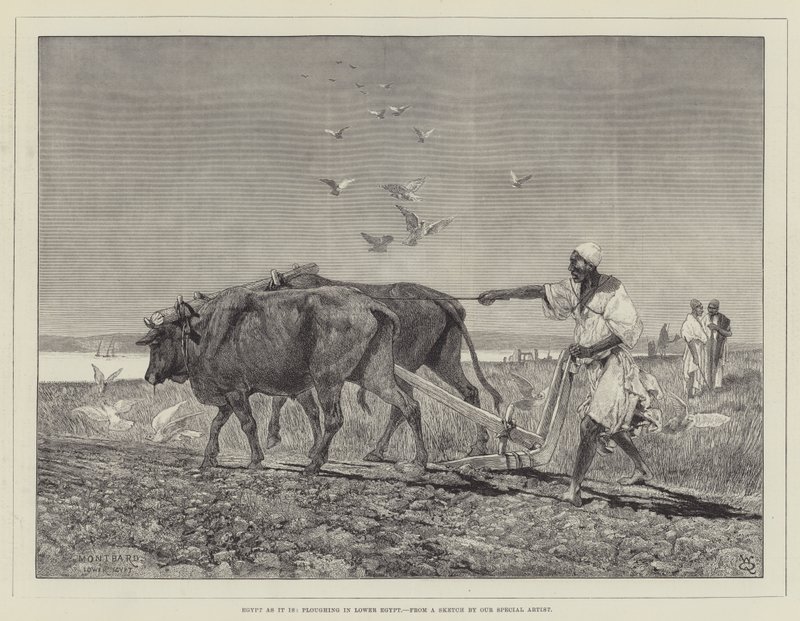 Egypti sellaisenaan, kyntäen Ala-Egyptissä tekijältä Charles Auguste Loye