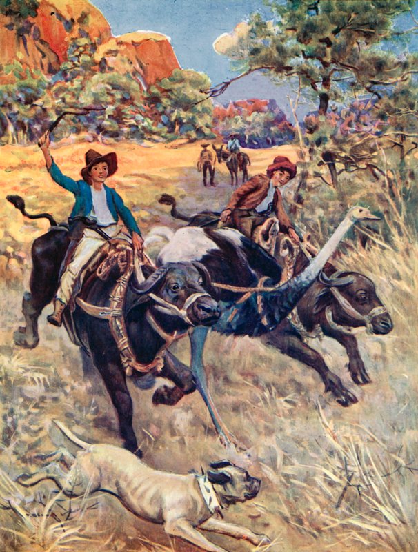 Kuvitus sveitsiläiselle Robinson-perheelle tekijältä Charles Daniel Ward