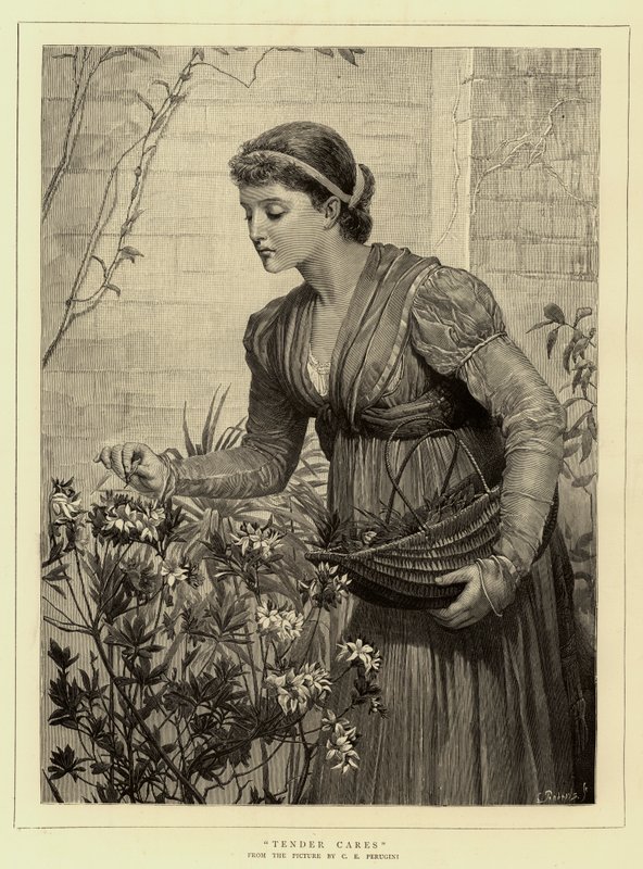 Tender Cares tekijältä Charles Edward Perugini