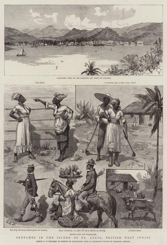 Luonnoksia St Lucian saarella, Brittiläisessä Länsi-Intiassa tekijältä Charles Edwin Fripp