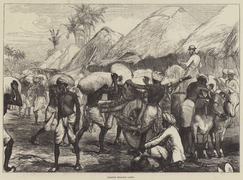 Bullock-kärryjen lastaus tekijältä Sir John Charles Robinson