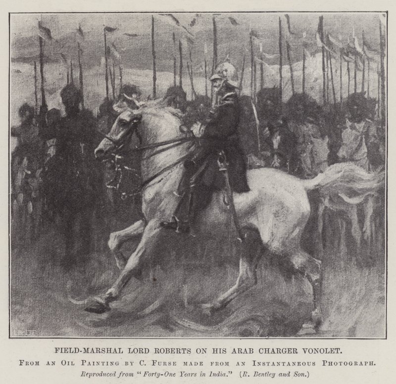 Kenttämarsalkka Lord Roberts arabilaturissaan Vonolet tekijältä Charles Wellington Furse