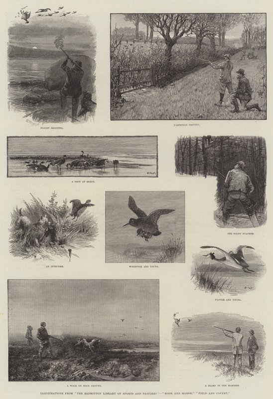 Kuvituksia teoksesta The Badminton Library of Sports and Pastimes, Moor and Marsh, Field and Covert. tekijältä Charles Whymper