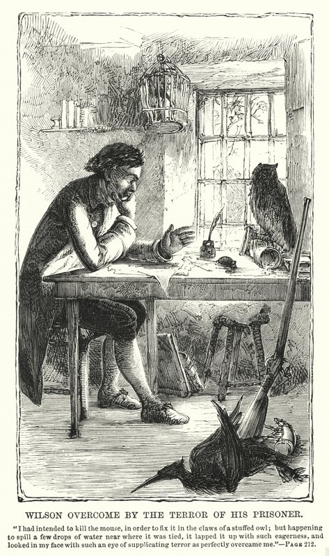 Wilson vanginsa kauhun vallassa (kaiverrus) tekijältä Charles Altamont Doyle
