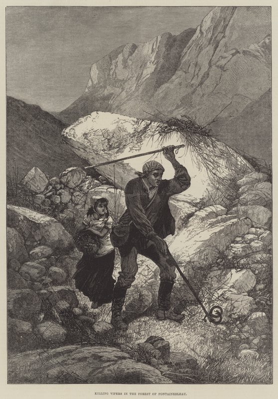 Kyyrien tappaminen Fontainebleaun metsässä tekijältä Charles Auguste Loye