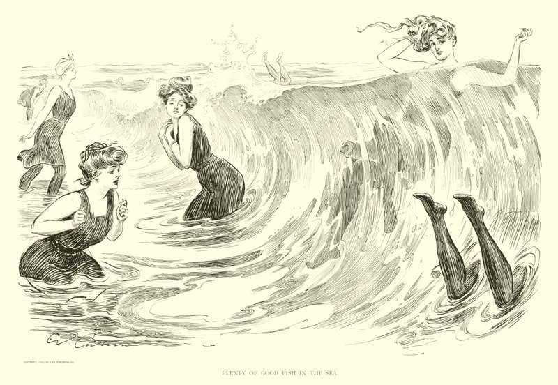 Kuvitus Social Ladderille (kaiverrus) tekijältä Charles Dana Gibson