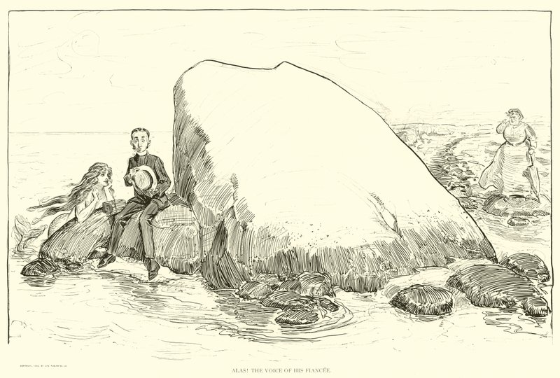 Kuvitus Social Ladderille tekijältä Charles Dana Gibson