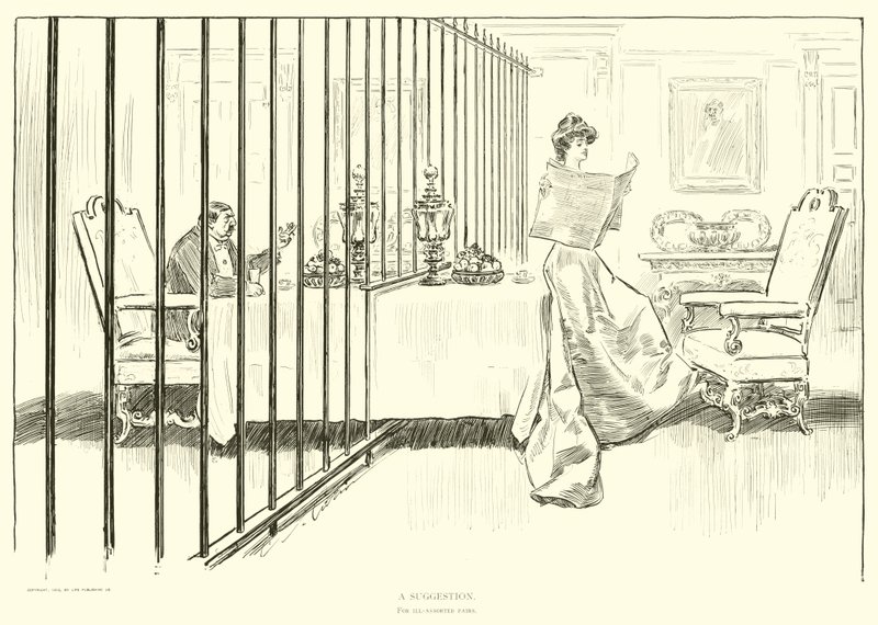 Kuvitus Social Ladderille tekijältä Charles Dana Gibson
