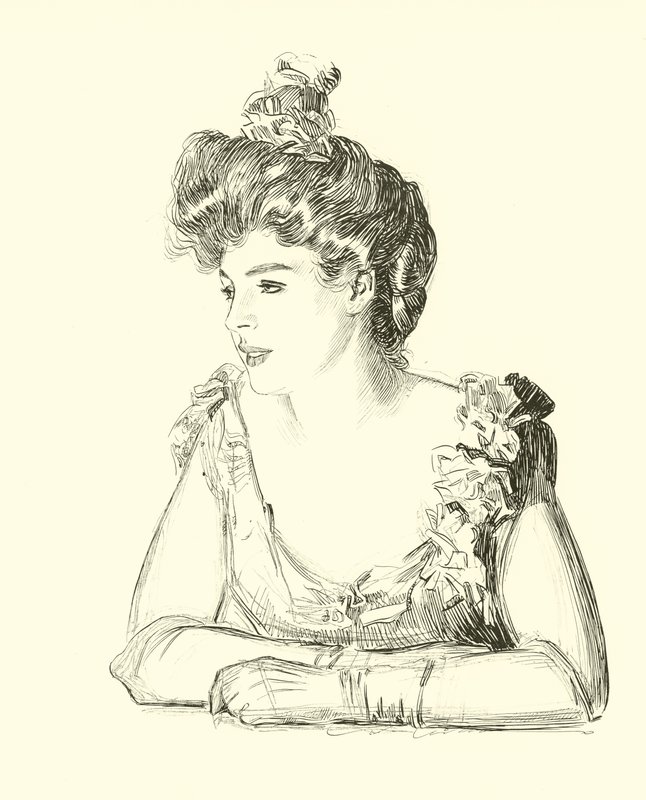 Illustration for The Social Ladder tekijältä Charles Dana Gibson