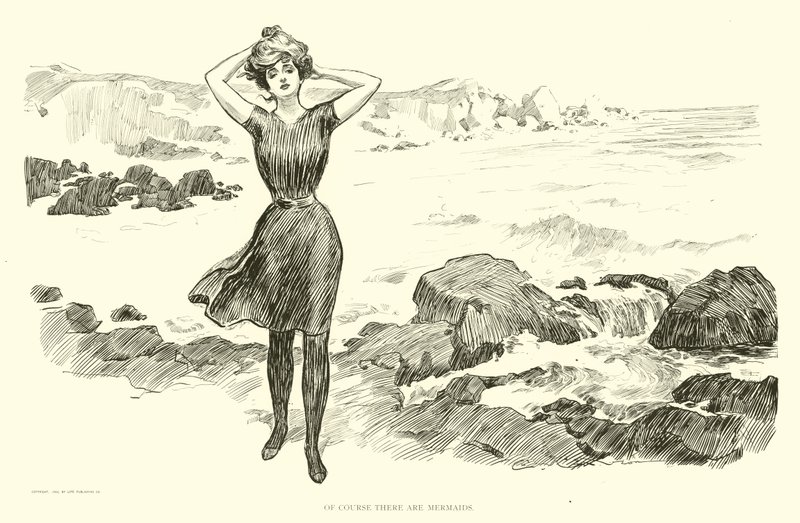 Illustration for The Social Ladder tekijältä Charles Dana Gibson