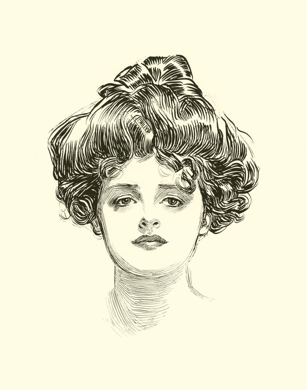 Illustration for The Social Ladder tekijältä Charles Dana Gibson