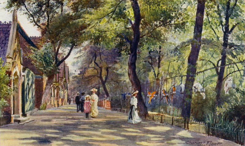 Lontoon eläintarha: Papukaija- ja elefanttitalot (värilitho) tekijältä Charles Edwin Flower